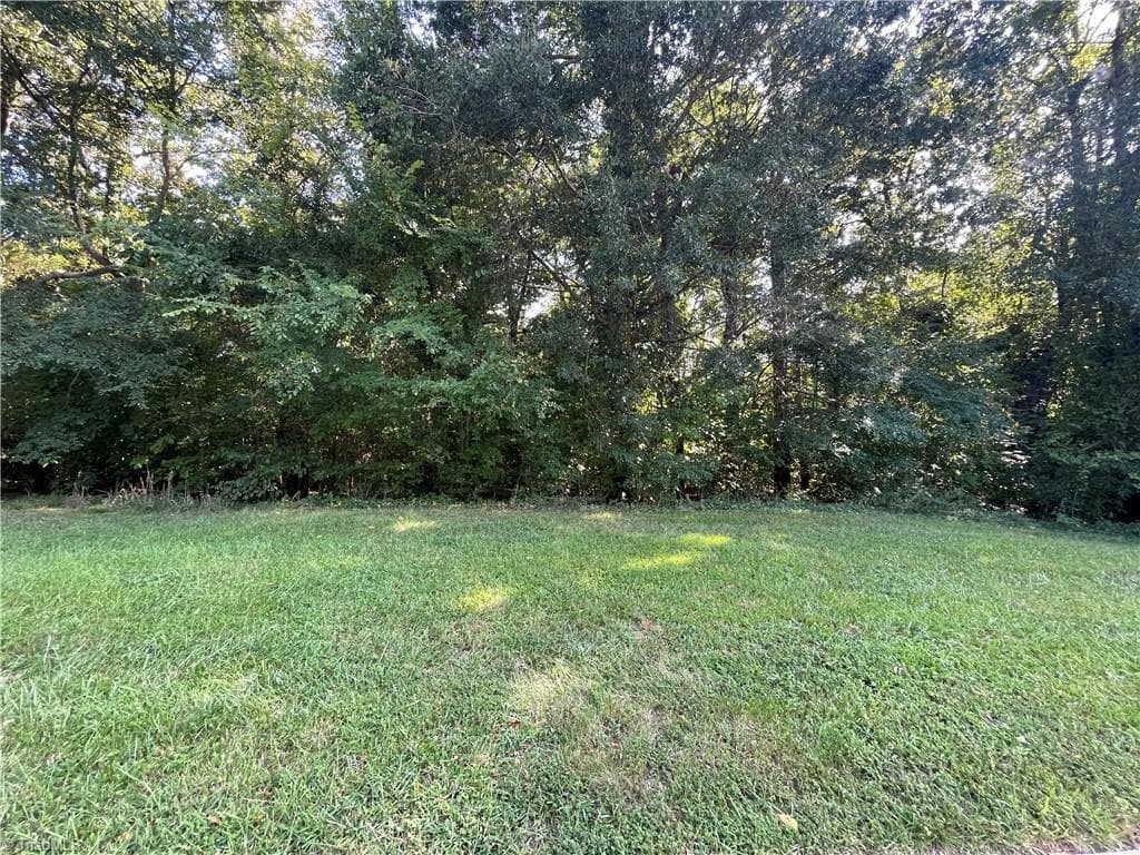 Single Family Residence at Lot 10 Georgetowne Drive, Elon NC 27244, photo 4 of 4