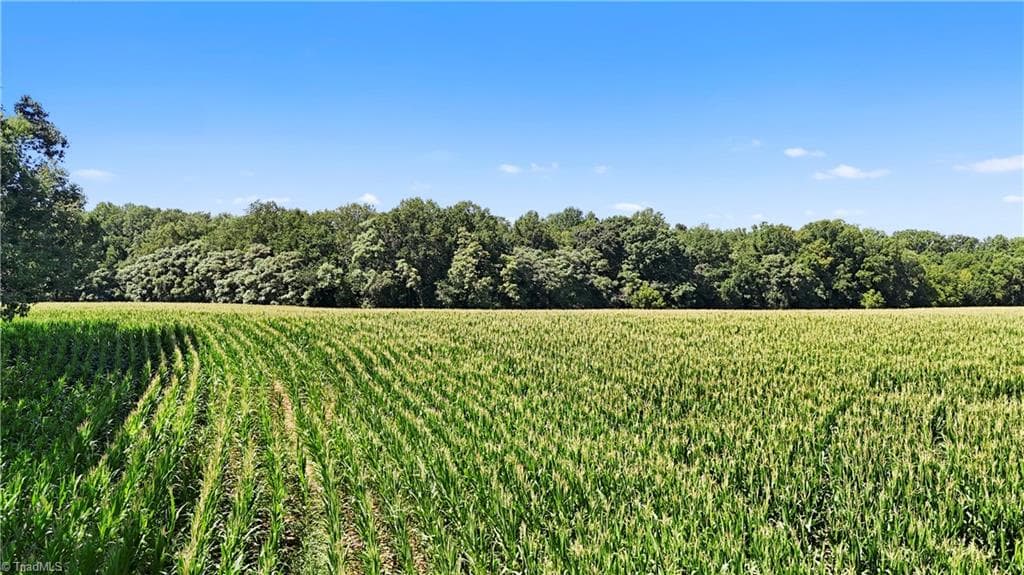 Unimproved Land at TBD LOT 2 Howards Bridge Road, Union Grove NC 28689, photo 12 of 15