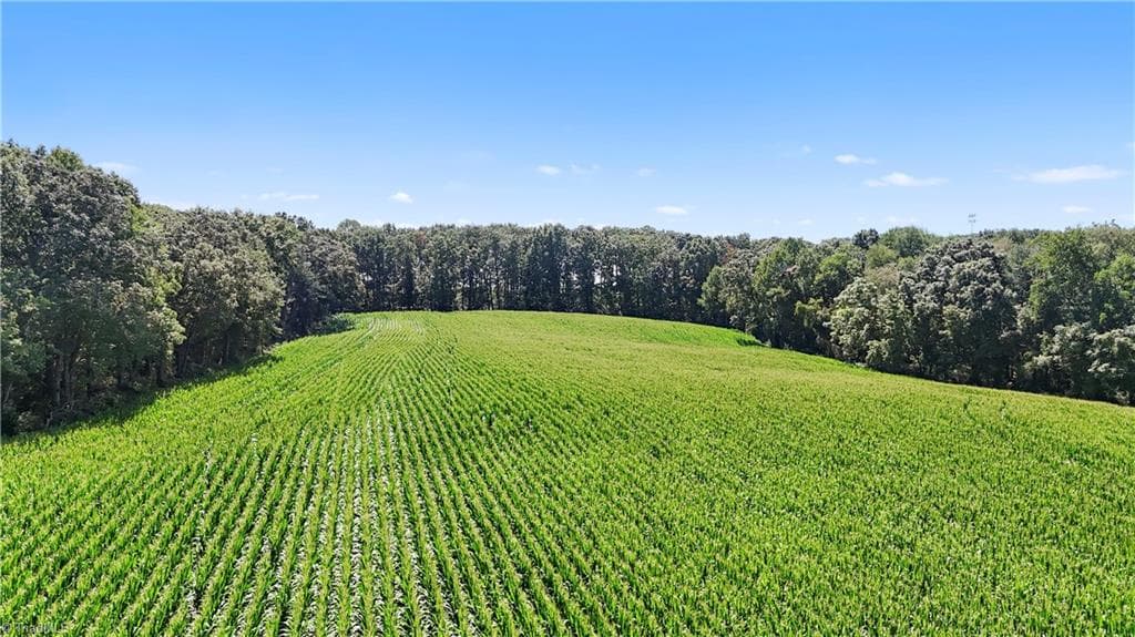 Unimproved Land at TBD LOT 4 Howards Bridge Road, Union Grove NC 28689, photo 11 of 15