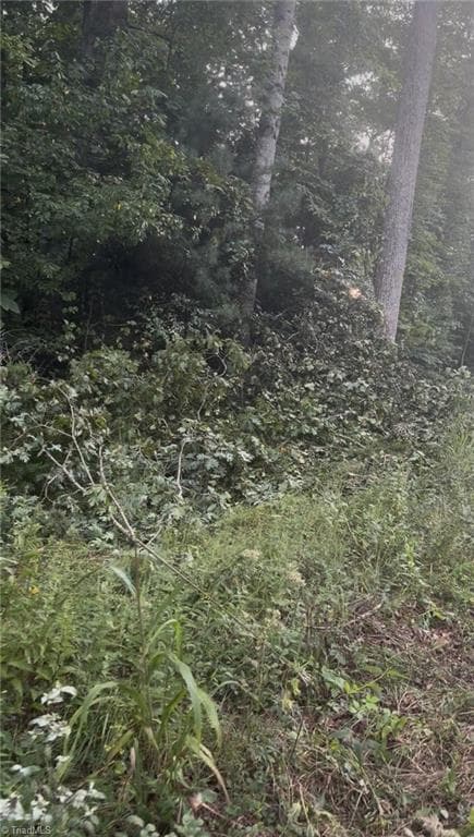 Unimproved Land at Lot 1 Edgewood Road, Wilkesboro NC 28697, photo 3 of 7