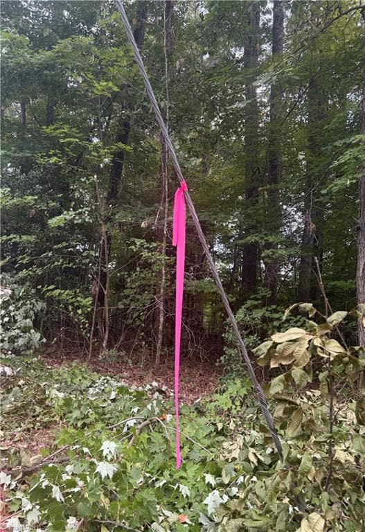 Unimproved Land at Lot 1 Edgewood Road, Wilkesboro NC 28697, photo 5 of 7