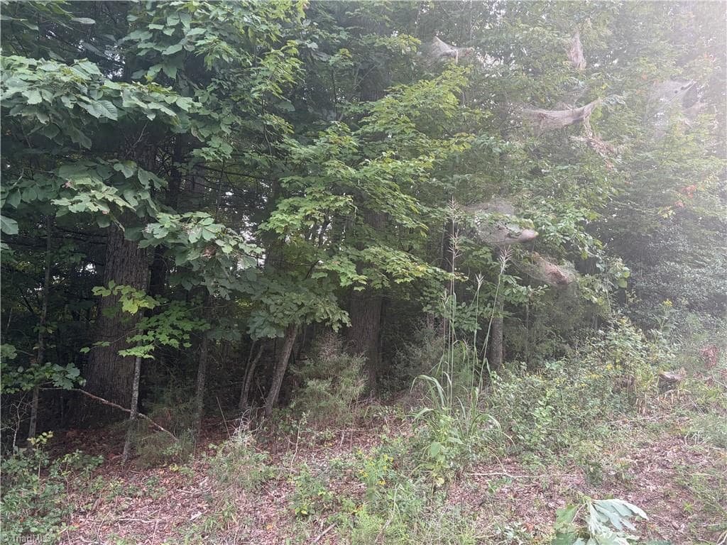 Unimproved Land at Lot 1 Edgewood Road, Wilkesboro NC 28697, photo 4 of 7
