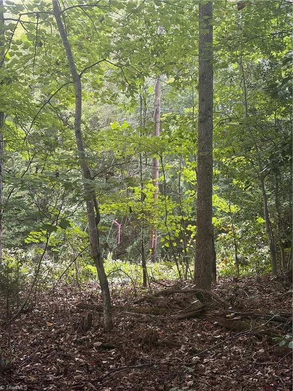 Unimproved Land at Lot 3 Edgewood Road, Wilkesboro NC 28697, photo 6 of 10