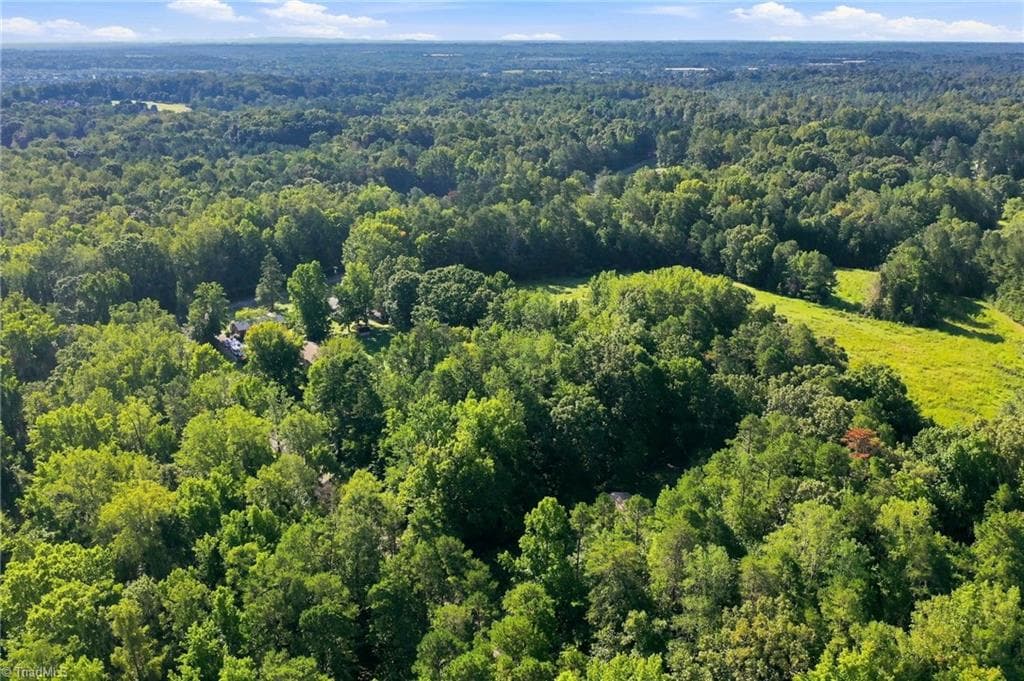 Unimproved Land at 6218 Creek Lane, Gibsonville NC 27249, photo 10 of 13