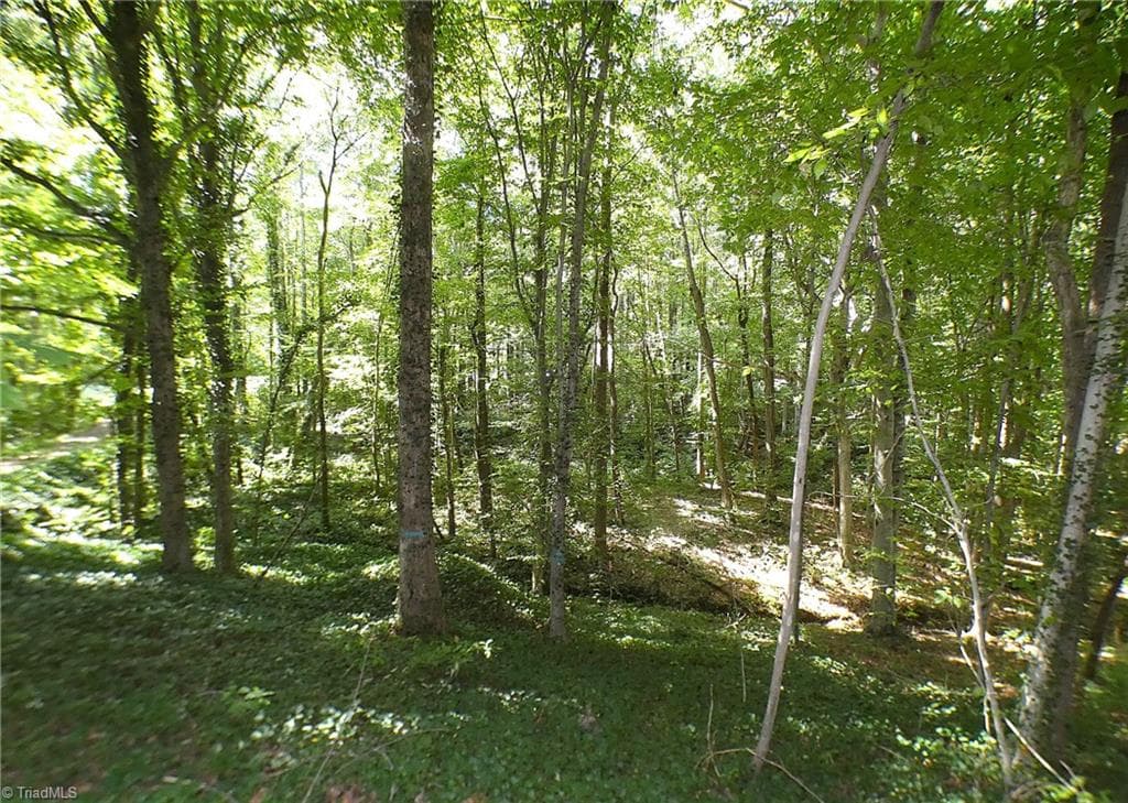 Stick/Site Built at 191 Holy Cross Church Road, Mocksville NC 27028, Mocksville, photo 18 of 50