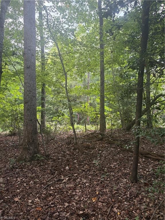 Unimproved Land at Lot 5 Edgewood Road, Wilkesboro NC 28697, photo 2 of 7
