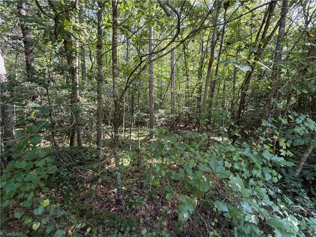 Lots 20 & 21 Zinzendorf Lane, Moravian Falls NC 28654