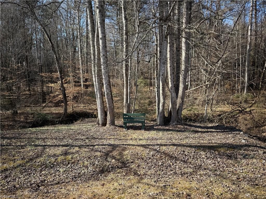 Single Family Residence at Lots 20 & 21 Zinzendorf Lane, Moravian Falls NC 28654, photo 11 of 19