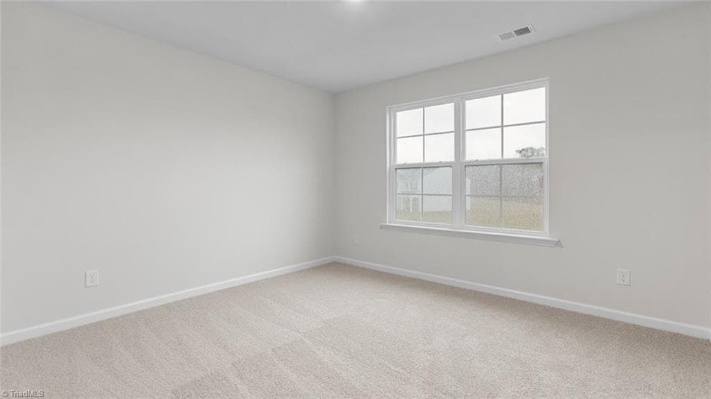 Stick/Site Built at 301 Strawberry Court, Lexington NC 27295, Lexington, photo 31 of 32