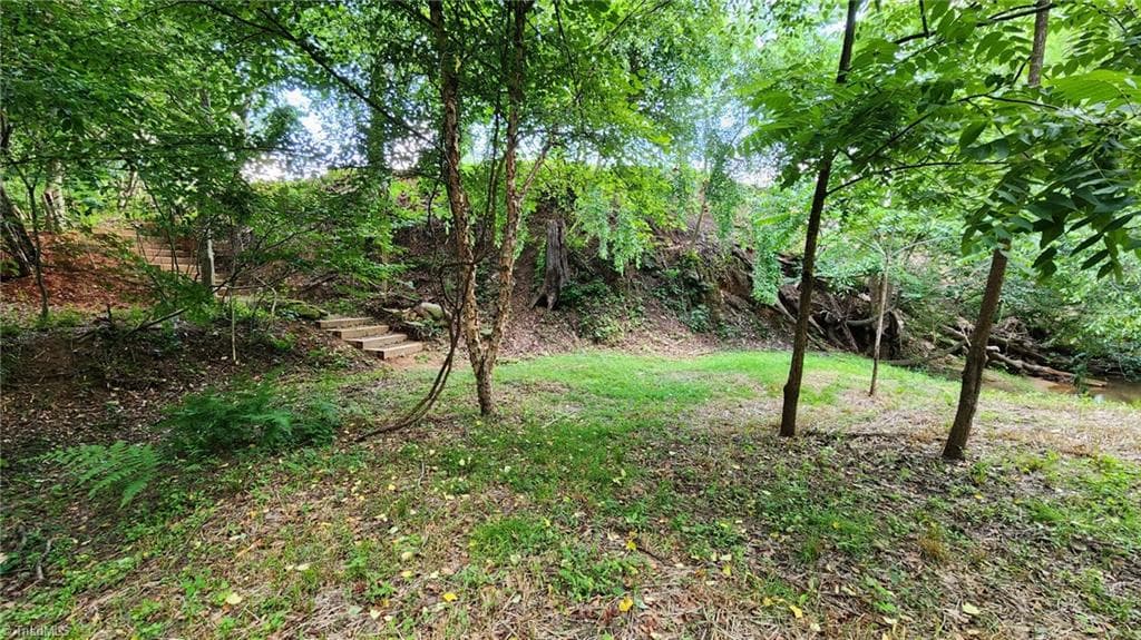 Recreational area near the creek - 6254 NC Highway 268, Dobson NC 27017, Dobson