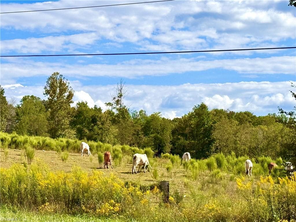 Stick/Site Built at 6254 NC Highway 268, Dobson NC 27017, Dobson, photo 9 of 98