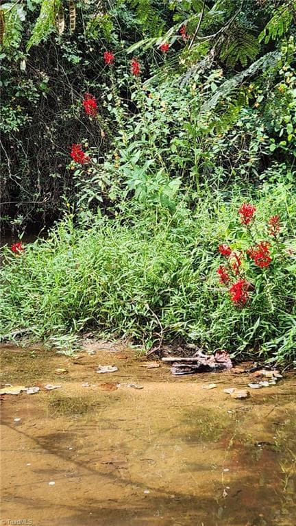 Stick/Site Built at 6254 NC Highway 268, Dobson NC 27017, Dobson, photo 75 of 98