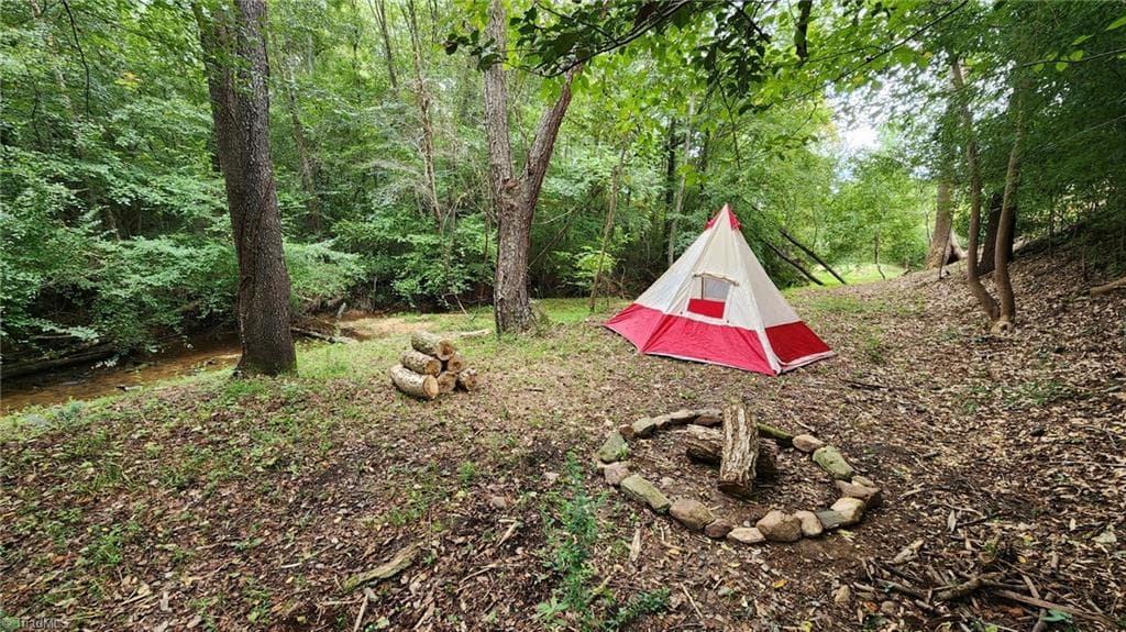 Recreational area near the creek - 6254 NC Highway 268, Dobson NC 27017, Dobson
