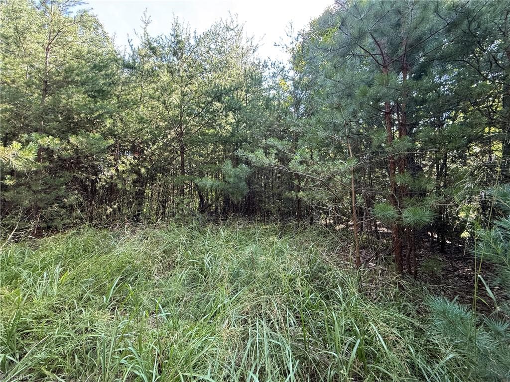 Single Family Residence at Lot 24 Wolf Pen Road, Purlear NC 28665, photo 6 of 36