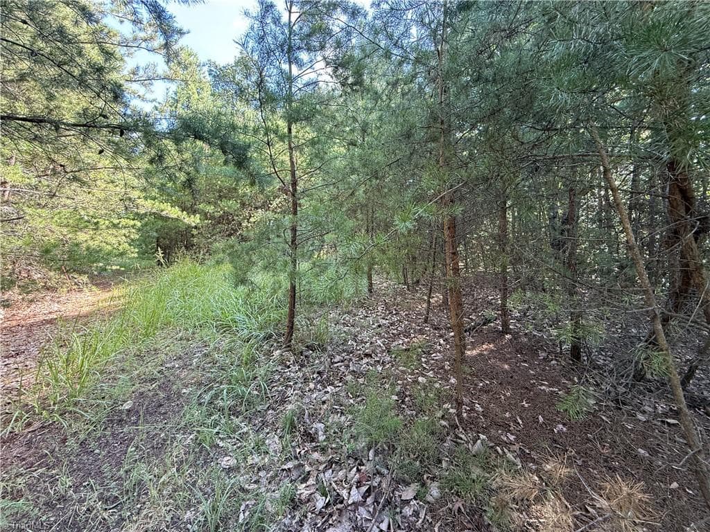 Single Family Residence at Lot 24 Wolf Pen Road, Purlear NC 28665, photo 17 of 36