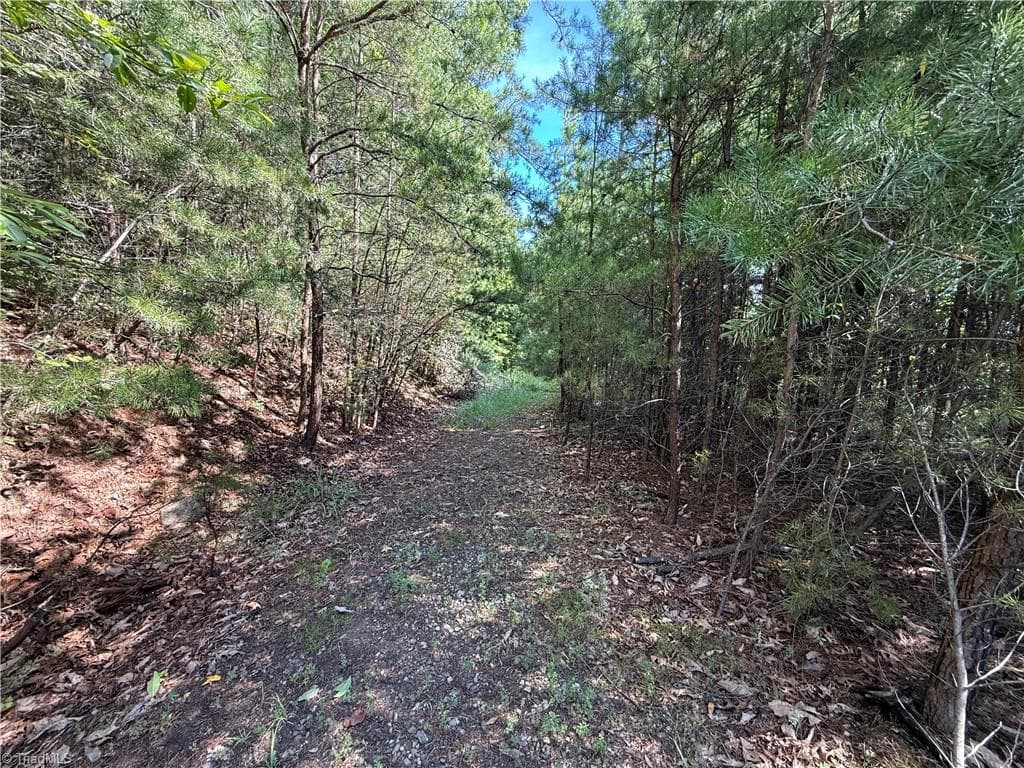 Single Family Residence at Lot 24 Wolf Pen Road, Purlear NC 28665, photo 7 of 36