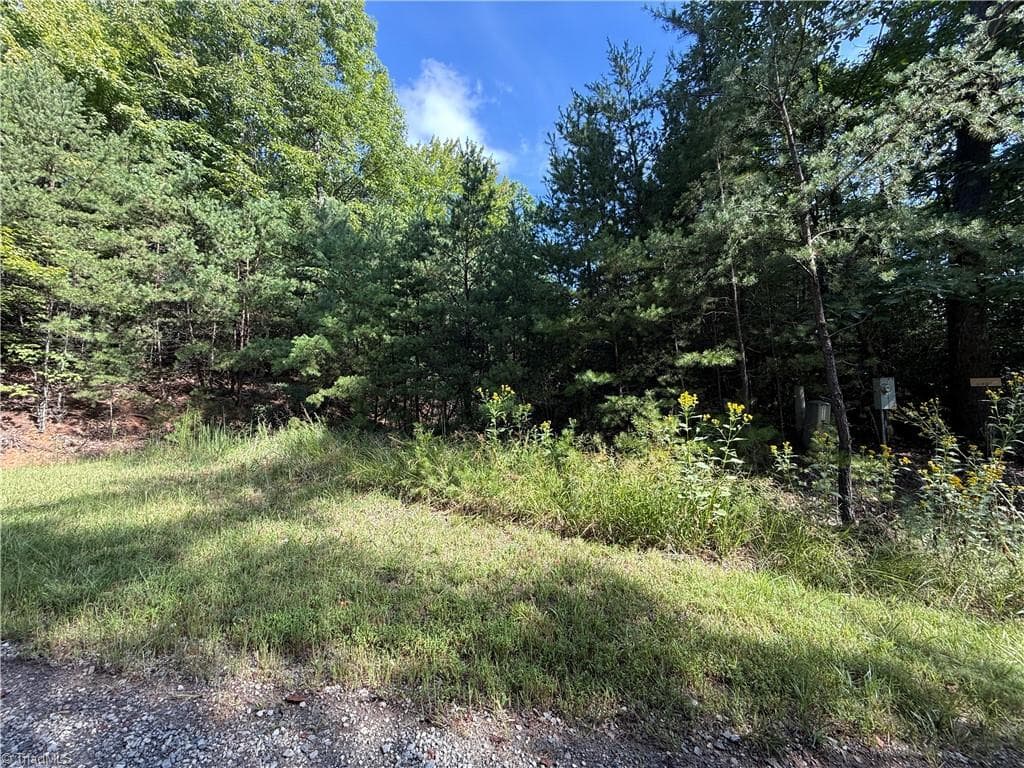 Lot 24 Wolf Pen Road, Purlear NC 28665
