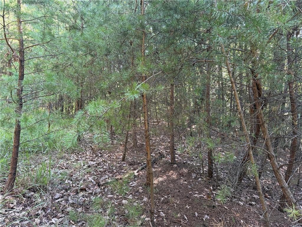 Single Family Residence at Lot 24 Wolf Pen Road, Purlear NC 28665, photo 5 of 36