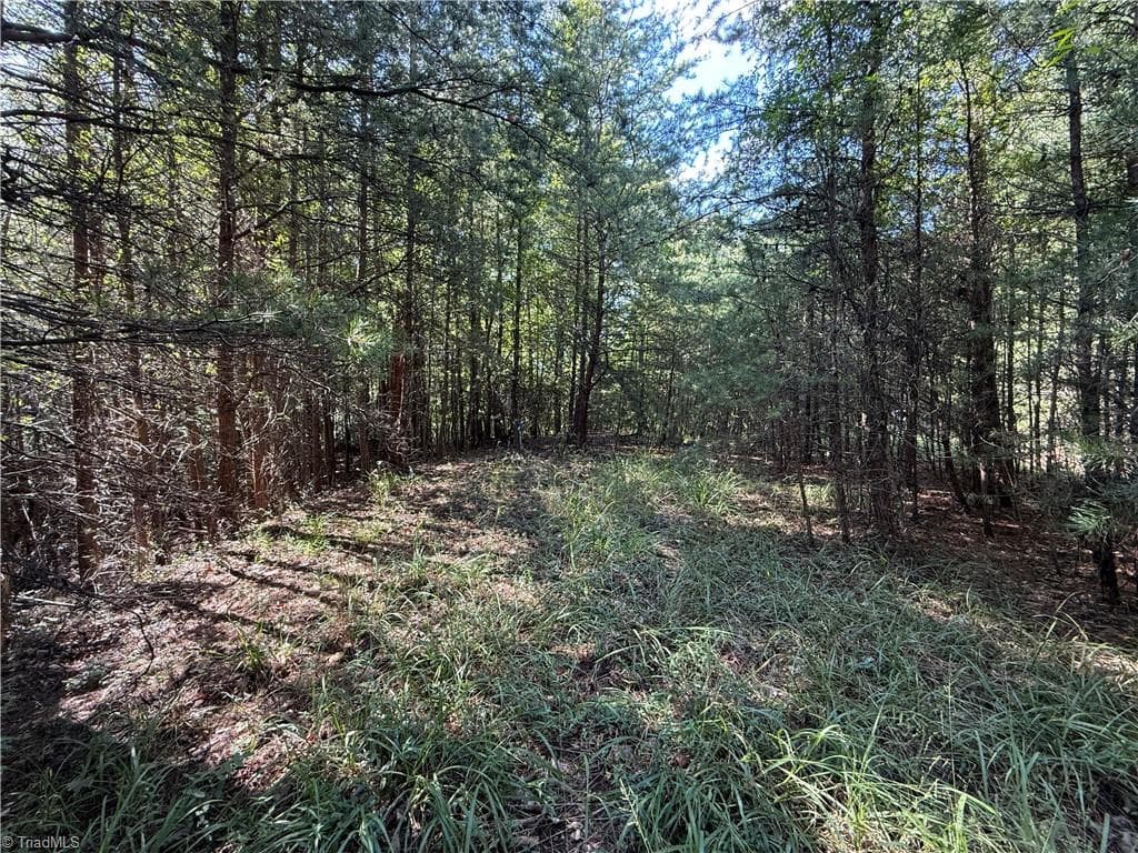 Single Family Residence at Lot 24 Wolf Pen Road, Purlear NC 28665, photo 10 of 36