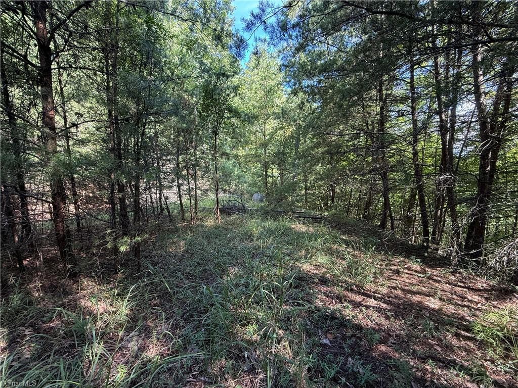 Single Family Residence at Lot 24 Wolf Pen Road, Purlear NC 28665, photo 14 of 36