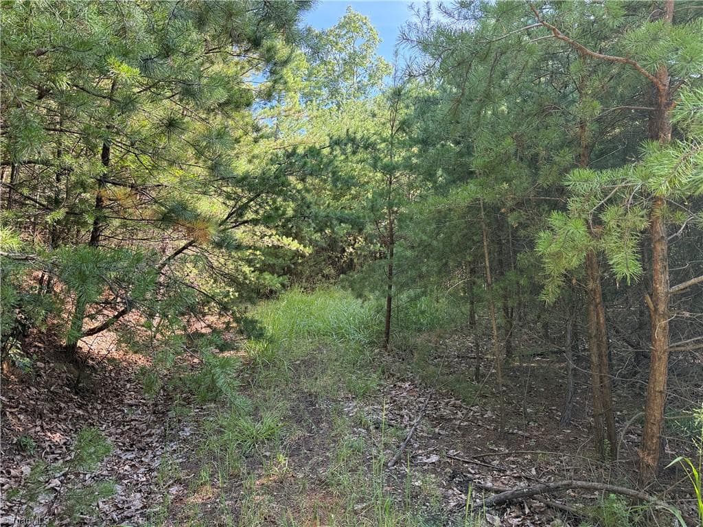 Single Family Residence at Lot 24 Wolf Pen Road, Purlear NC 28665, photo 4 of 36