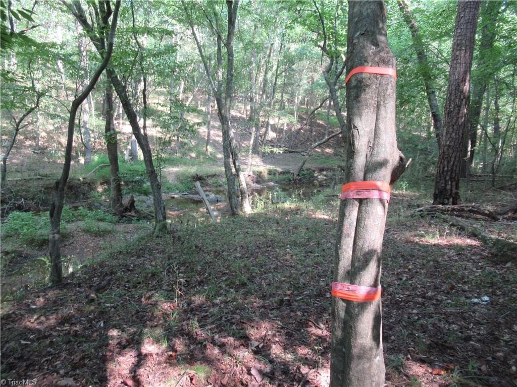 Unimproved Land at 2643 Roberts Chapel Road, Goldston NC 27252, photo 27 of 46