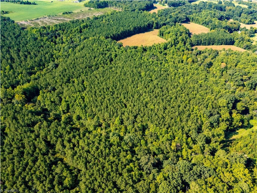 Unimproved Land at 2643 Roberts Chapel Road, Goldston NC 27252, photo 6 of 46