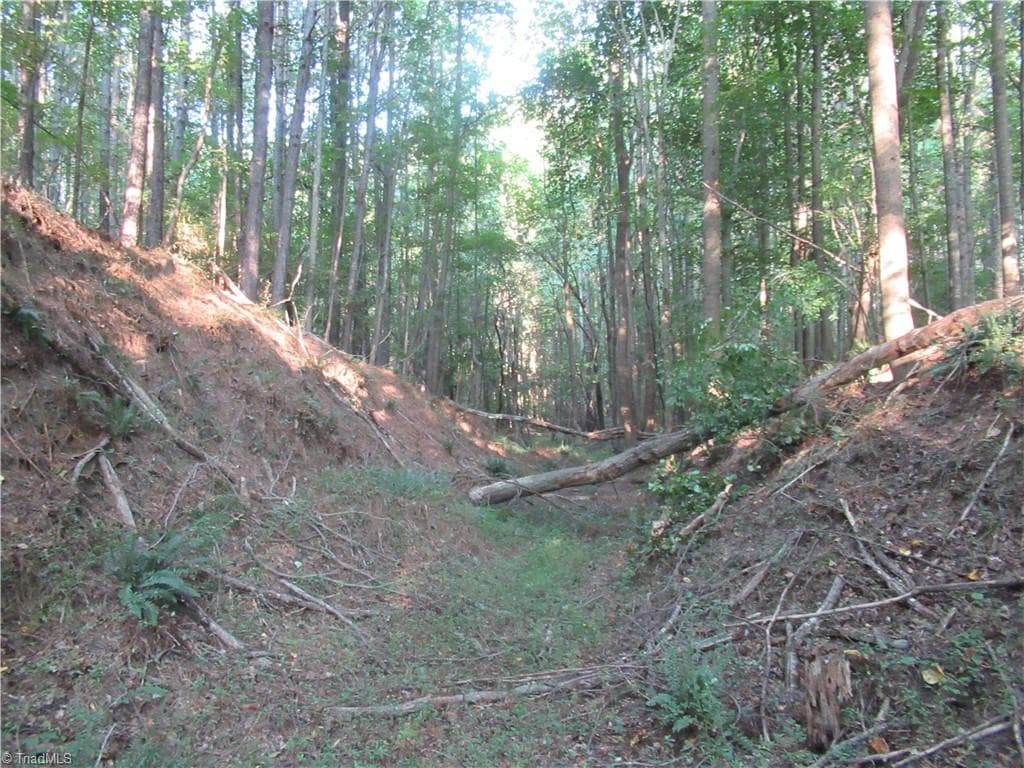 Unimproved Land at 2643 Roberts Chapel Road, Goldston NC 27252, photo 42 of 46