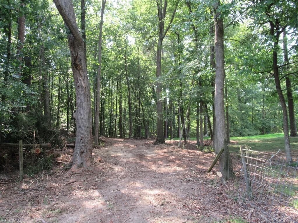 Unimproved Land at 2643 Roberts Chapel Road, Goldston NC 27252, photo 13 of 46
