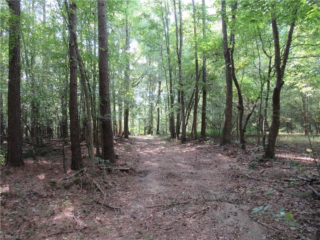 Unimproved Land at 2643 Roberts Chapel Road, Goldston NC 27252, photo 17 of 46