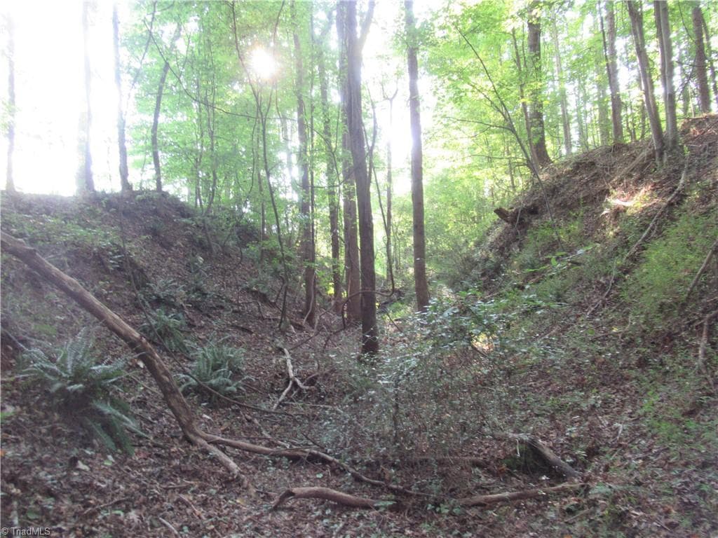 Unimproved Land at 2643 Roberts Chapel Road, Goldston NC 27252, photo 43 of 46