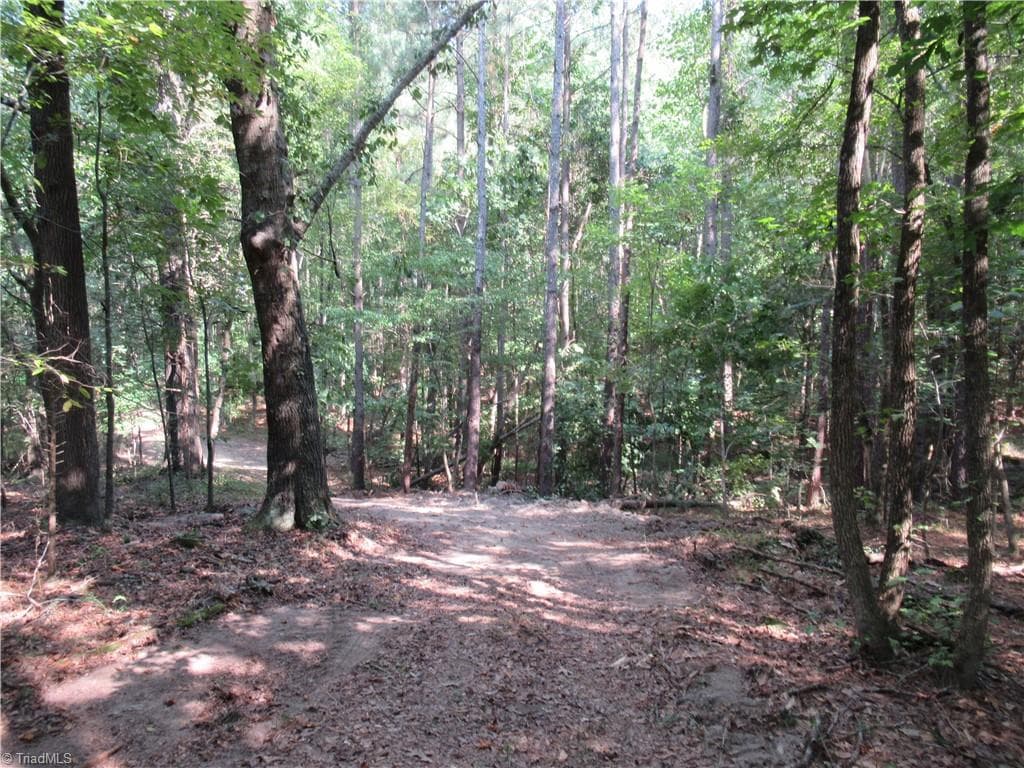 Unimproved Land at 2643 Roberts Chapel Road, Goldston NC 27252, photo 16 of 46