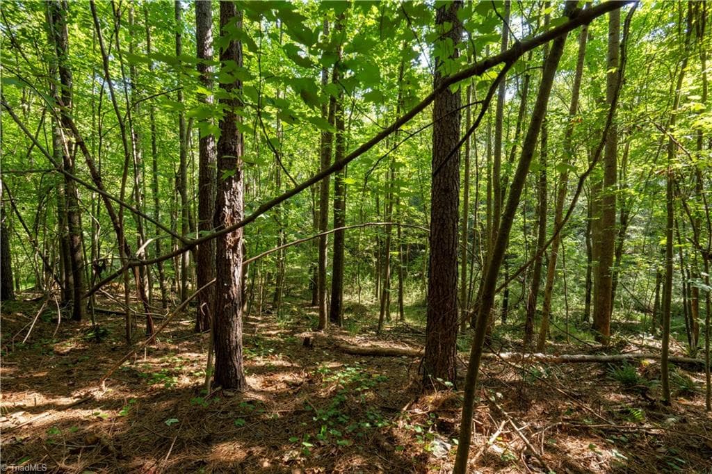 Unimproved Land at 2643 Roberts Chapel Road, Goldston NC 27252, photo 12 of 46