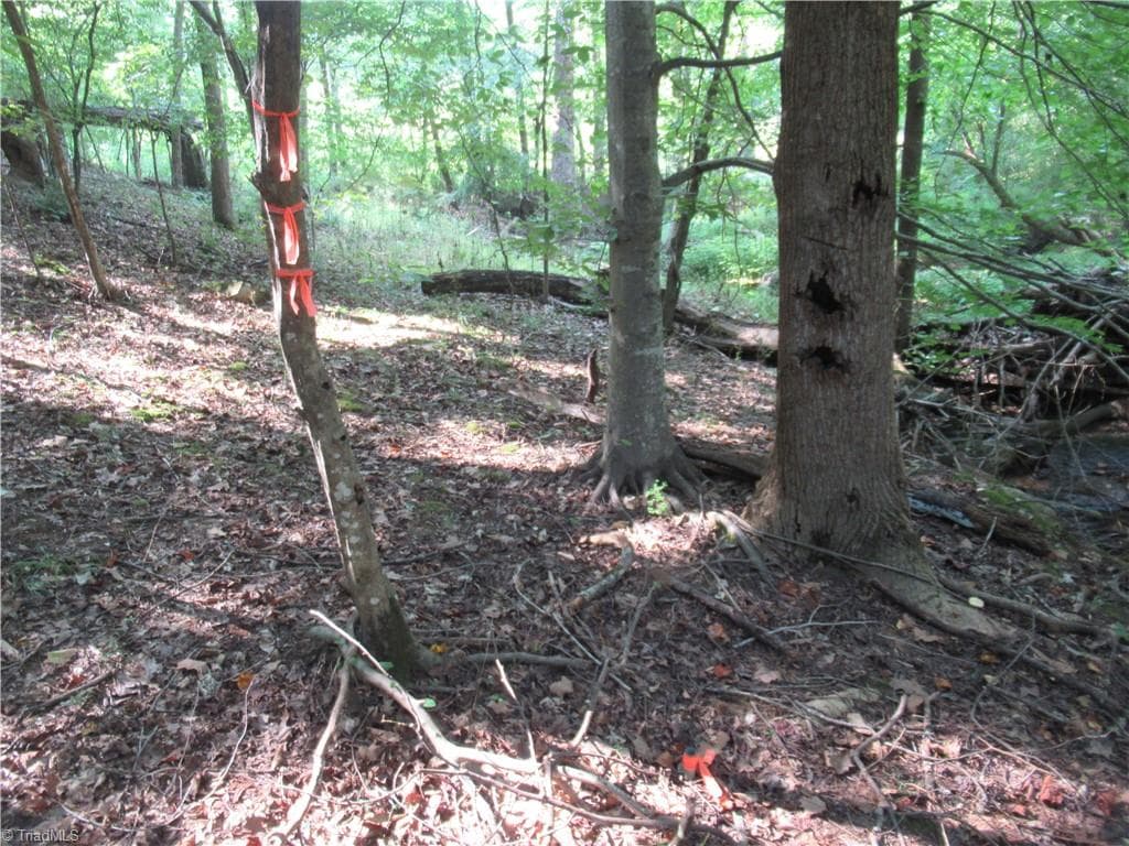 Unimproved Land at 2643 Roberts Chapel Road, Goldston NC 27252, photo 26 of 46