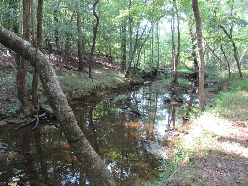 Unimproved Land at 2643 Roberts Chapel Road, Goldston NC 27252, photo 22 of 46