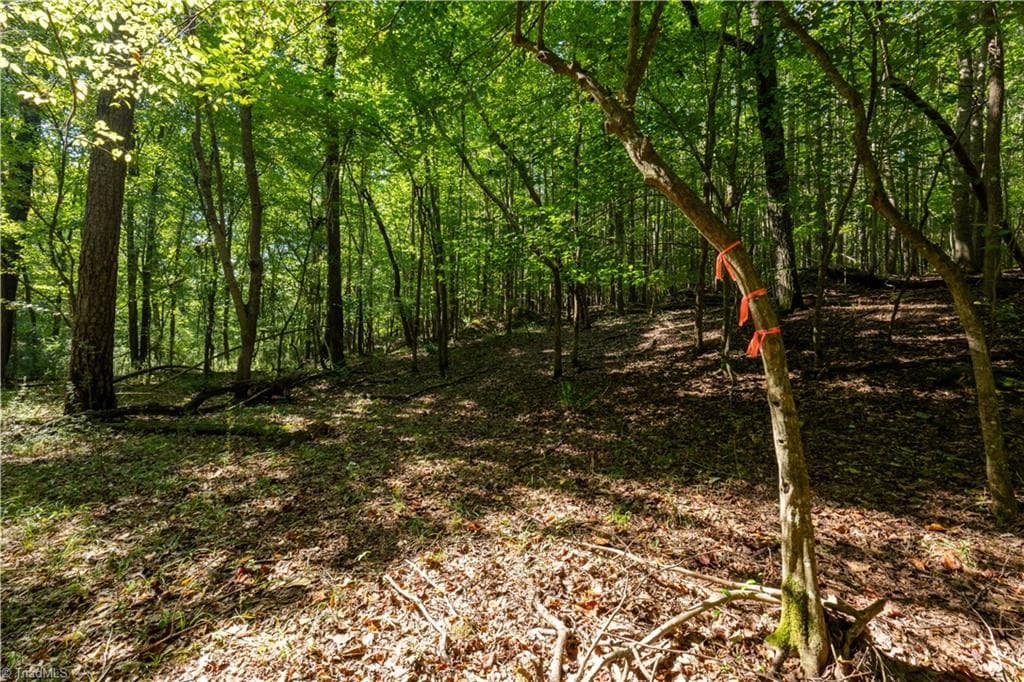 Unimproved Land at 2643 Roberts Chapel Road, Goldston NC 27252, photo 7 of 46