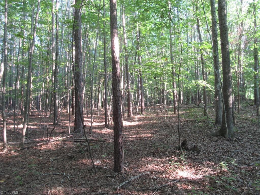 Unimproved Land at 2643 Roberts Chapel Road, Goldston NC 27252, photo 36 of 46
