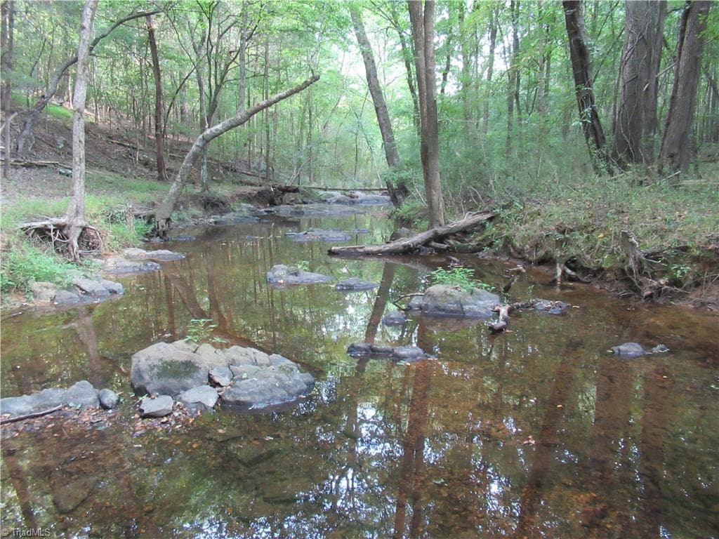 Unimproved Land at 2643 Roberts Chapel Road, Goldston NC 27252, photo 24 of 46