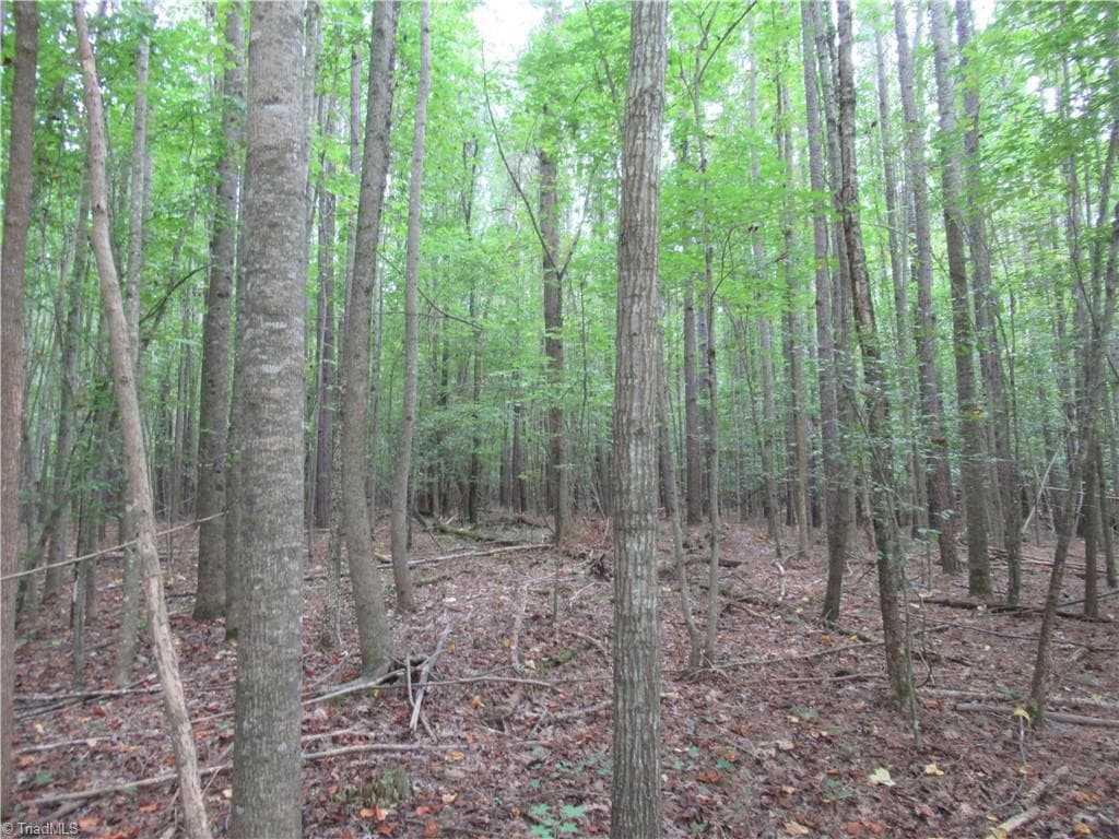 Unimproved Land at 2643 Roberts Chapel Road, Goldston NC 27252, photo 30 of 46