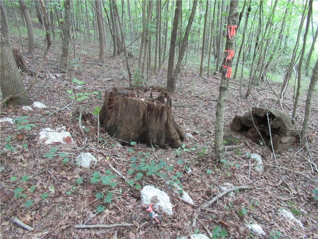 Unimproved Land at 2643 Roberts Chapel Road, Goldston NC 27252, photo 34 of 46