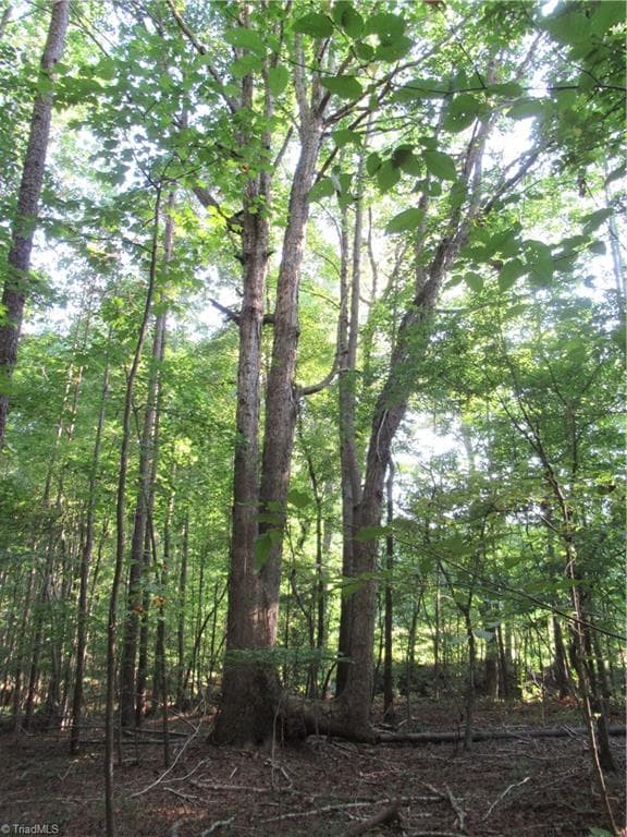 Unimproved Land at 2643 Roberts Chapel Road, Goldston NC 27252, photo 38 of 46