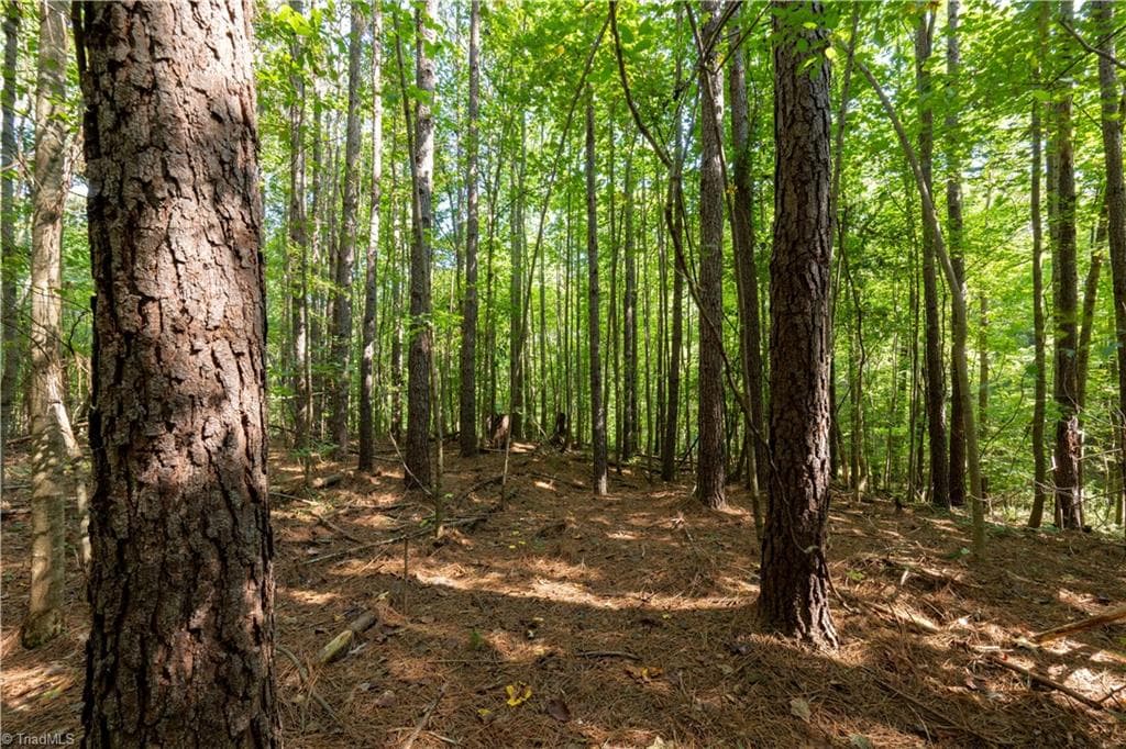 Unimproved Land at 2643 Roberts Chapel Road, Goldston NC 27252, photo 10 of 46