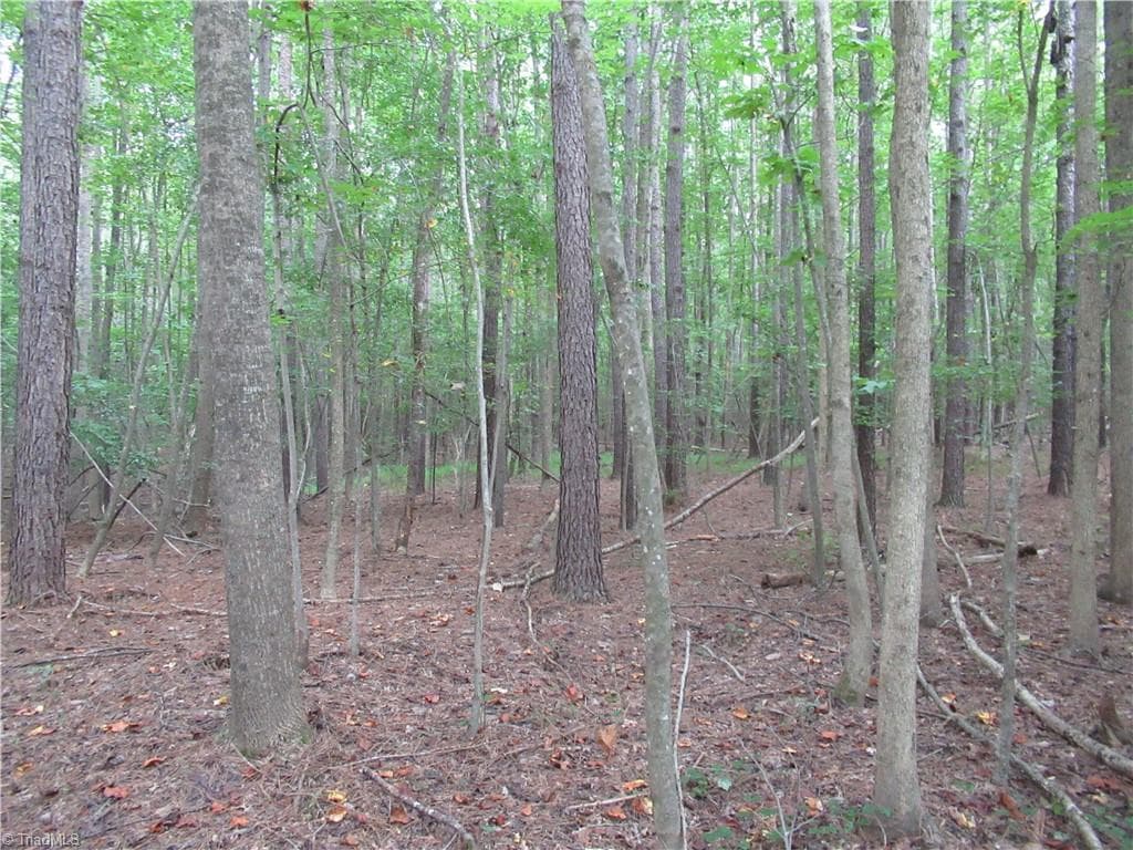 Unimproved Land at 2643 Roberts Chapel Road, Goldston NC 27252, photo 33 of 46