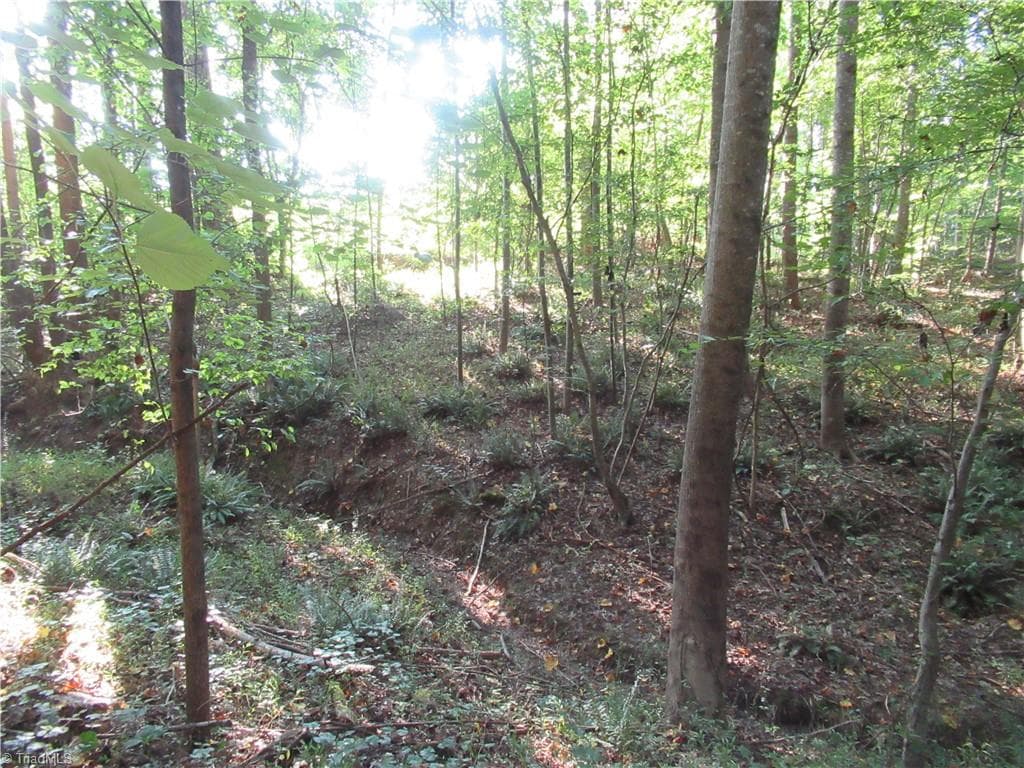 Unimproved Land at 2643 Roberts Chapel Road, Goldston NC 27252, photo 45 of 46