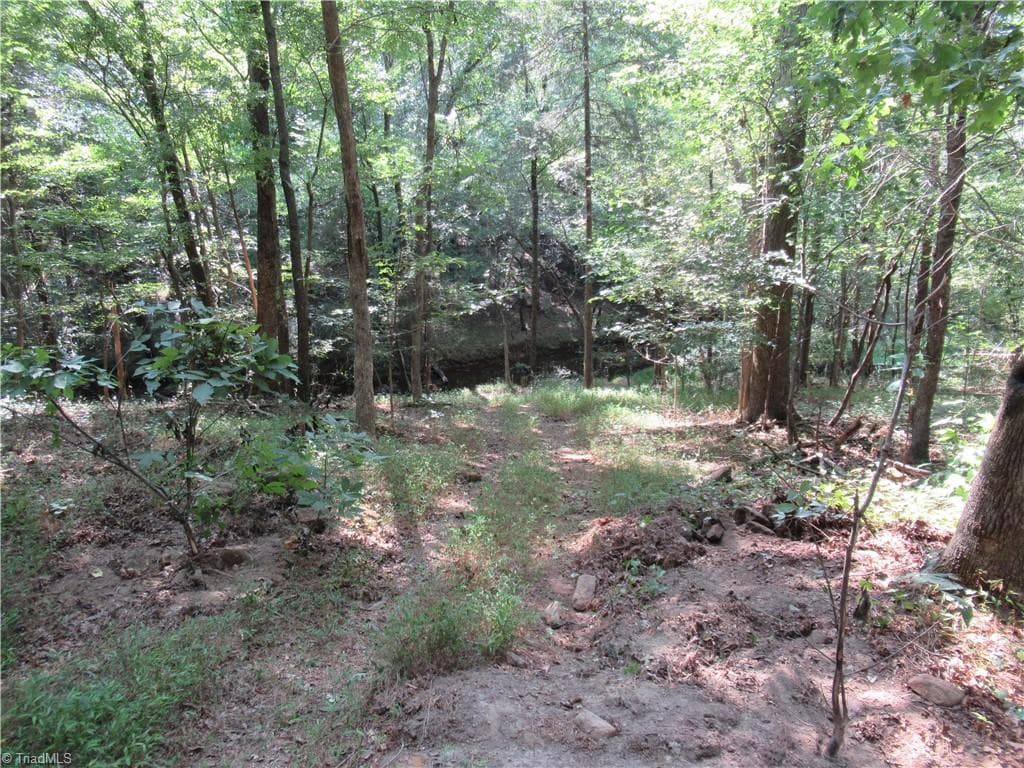 Unimproved Land at 2643 Roberts Chapel Road, Goldston NC 27252, photo 18 of 46