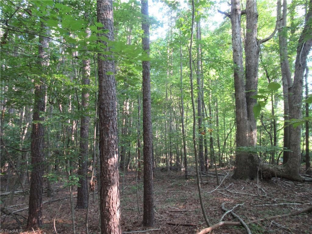 Unimproved Land at 2643 Roberts Chapel Road, Goldston NC 27252, photo 37 of 46