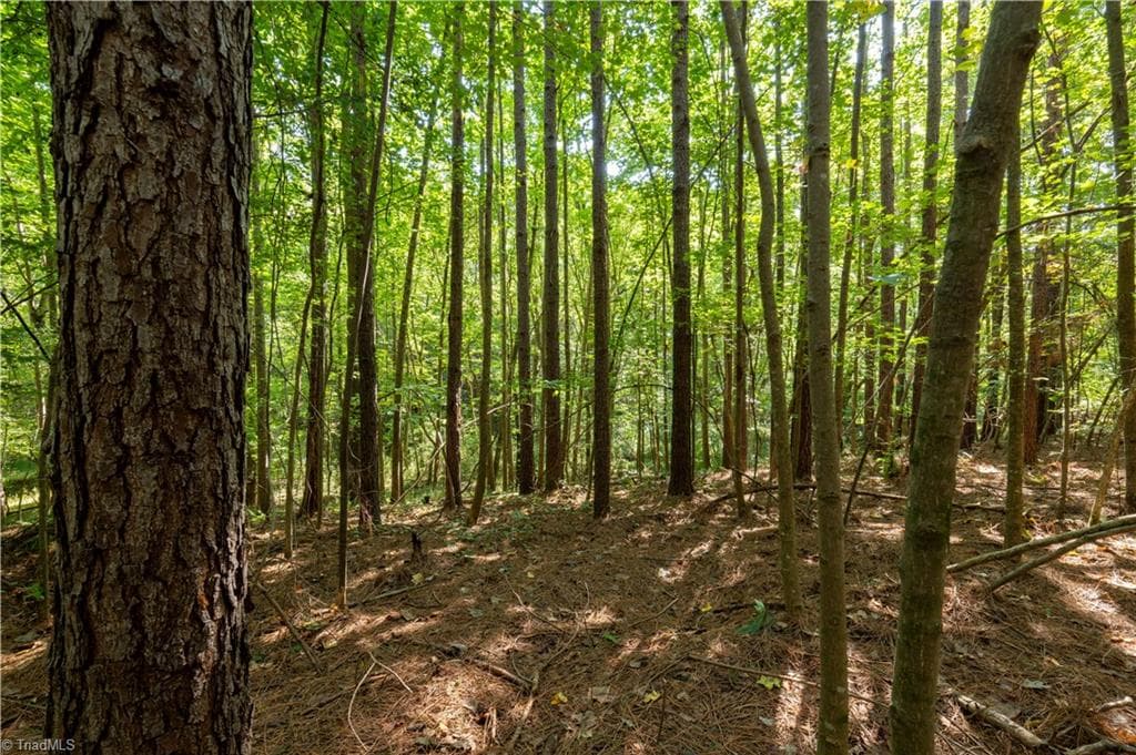 Unimproved Land at 2643 Roberts Chapel Road, Goldston NC 27252, photo 11 of 46