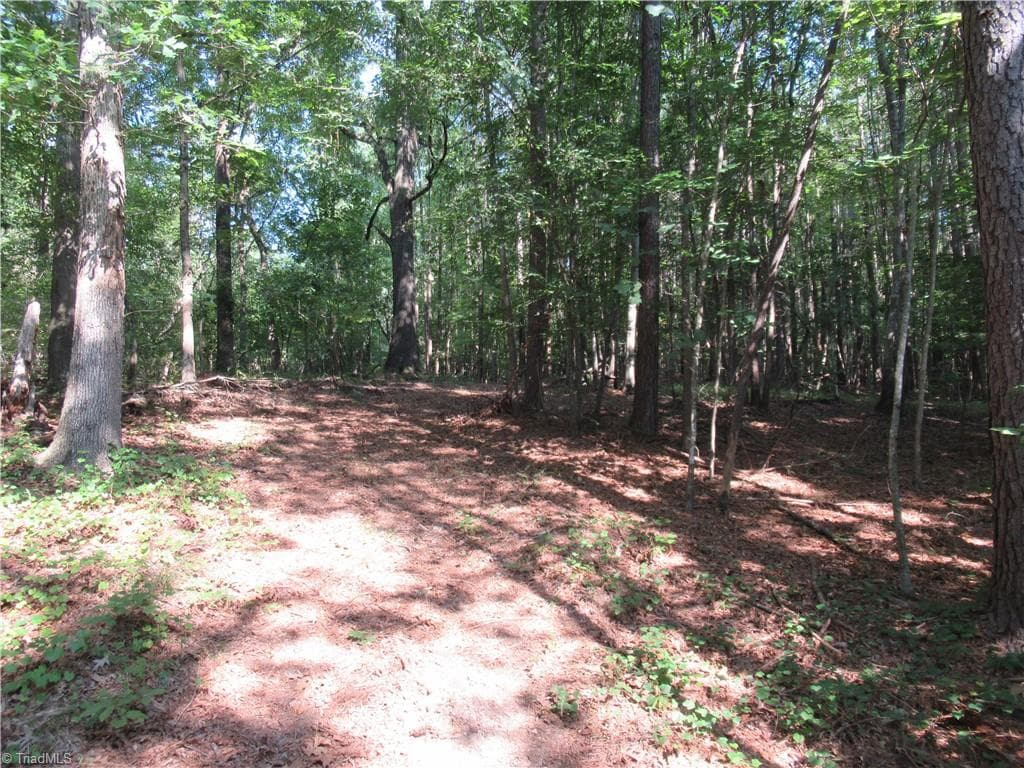 Unimproved Land at 2643 Roberts Chapel Road, Goldston NC 27252, photo 19 of 46