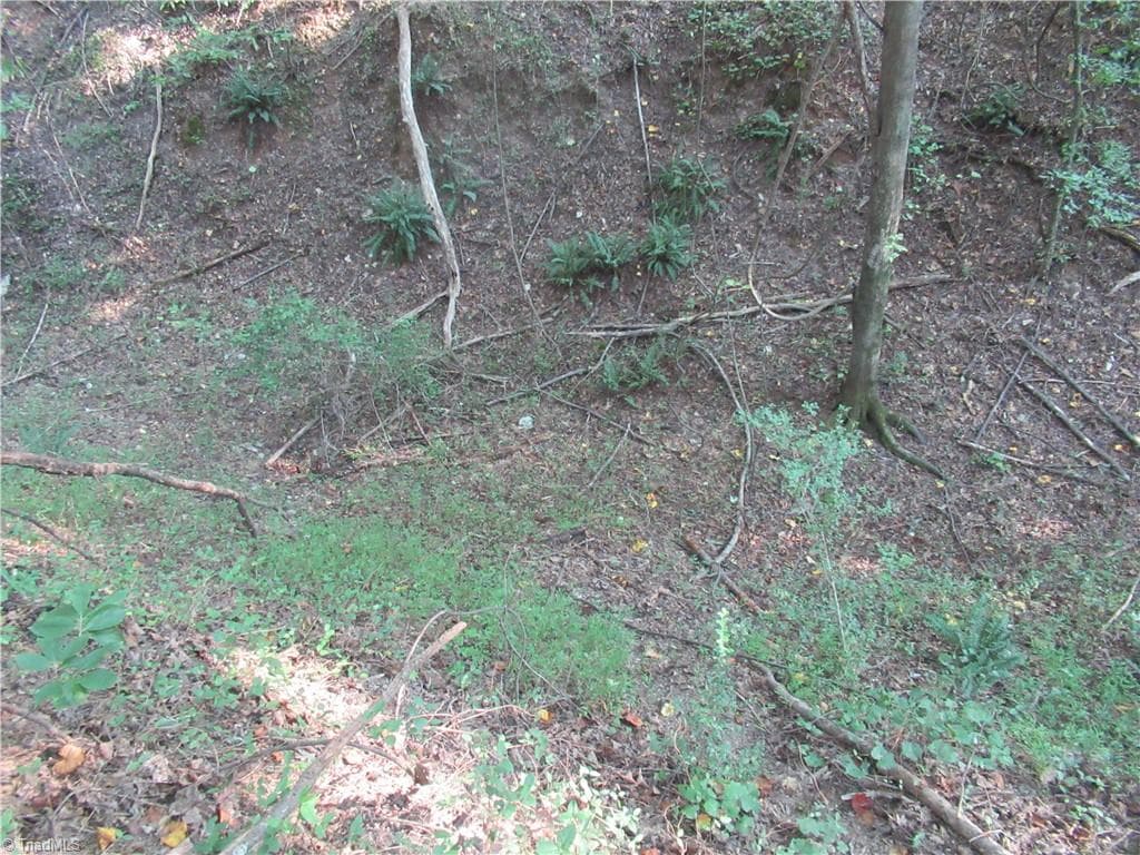 Unimproved Land at 2643 Roberts Chapel Road, Goldston NC 27252, photo 40 of 46