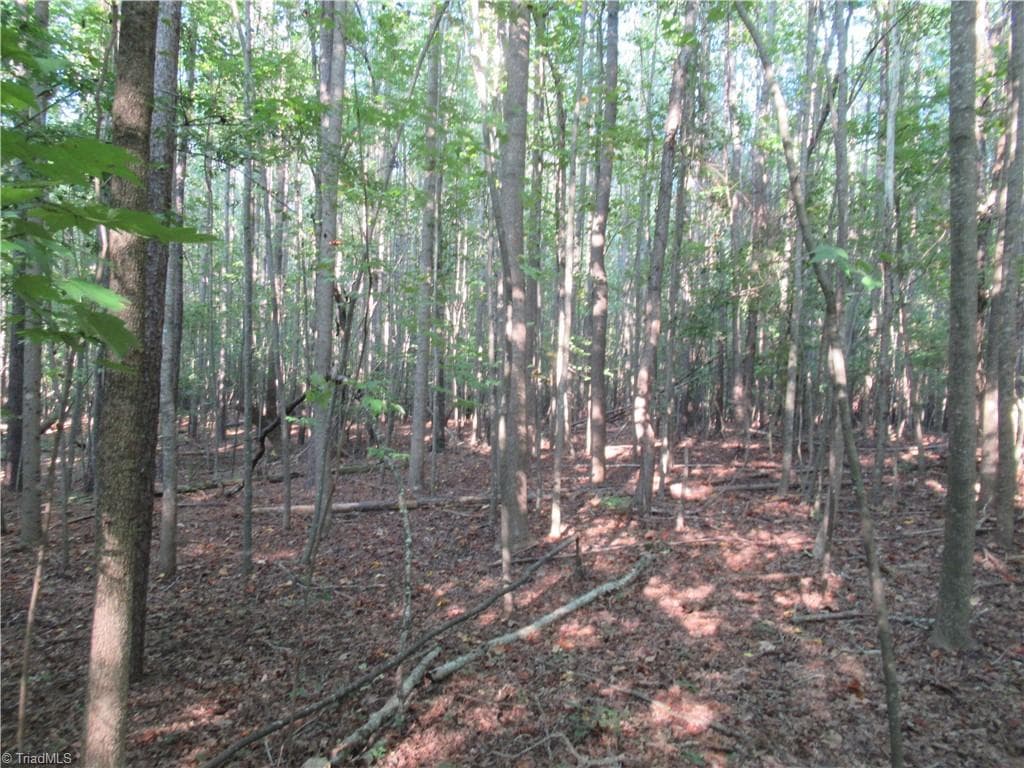 Unimproved Land at 2643 Roberts Chapel Road, Goldston NC 27252, photo 35 of 46